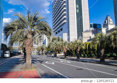 海浜幕張駅・周辺道路／千葉県千葉市美浜区ひび野1丁目 126526511
