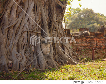 Travel to Ancient City of Ayutthaya, Thailand 126527713