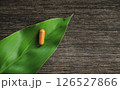 Herbal capsules from yellow tumeric on leaf for healthy eating in daily life 126527866