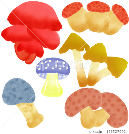 Mushrooms  126527992
