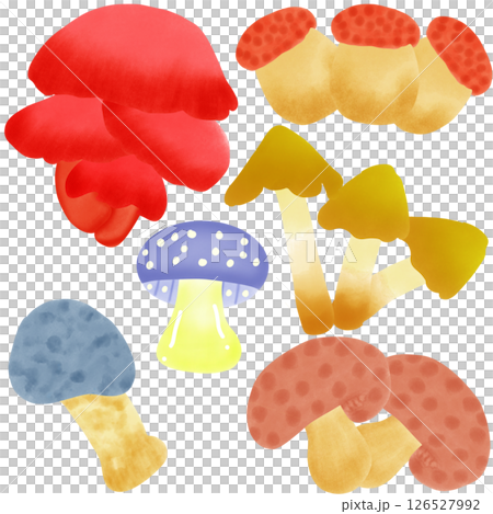 Mushrooms  126527992