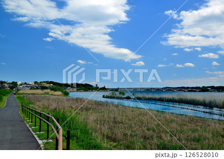 千葉県　手賀沼  手賀大橋 126528010