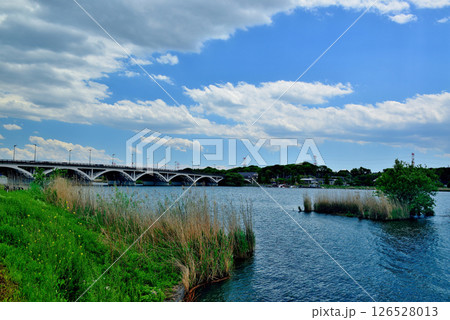 葉県 手賀沼 手賀大橋 葉県 手賀沼 手賀大橋 126528013