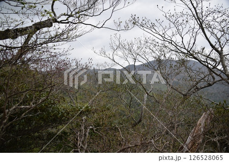 甲子山・大白森山 甲子山・大白森山 126528065