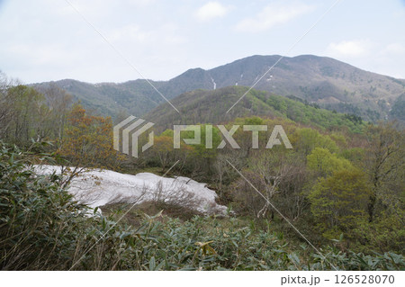 甲子山・大白森山 甲子山・大白森山 126528070