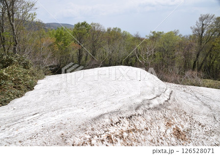 甲子山・大白森山 126528071