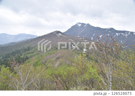甲子山・大白森山 126528073