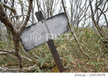 甲子山・大白森山 甲子山・大白森山 126528076