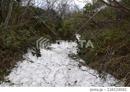 甲子山・大白森山 126528092