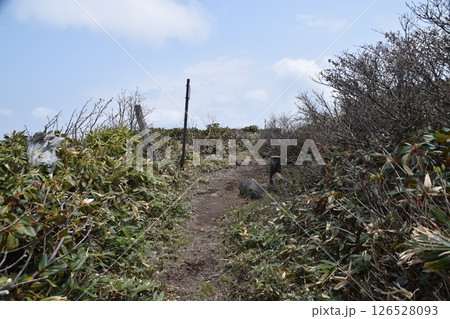 甲子山・大白森山 126528093