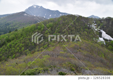 甲子山・大白森山 甲子山・大白森山 126528108