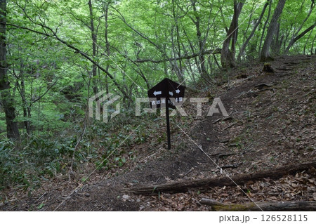 甲子山・大白森山 126528115