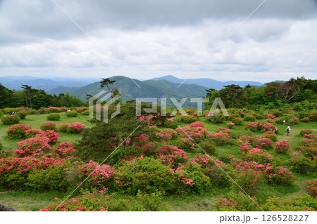 高柴山 高柴山 126528227