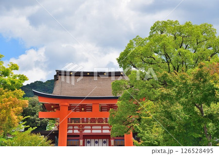 伏見稲荷大社（京都府） 126528495