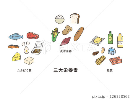 三大栄養素の食品 手描きイラストセット 126528562