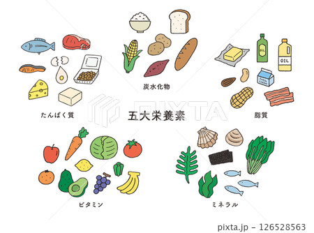 五大栄養素の食品 手描きイラストセット 五大栄養素の食品 手描きイラストセット 126528563