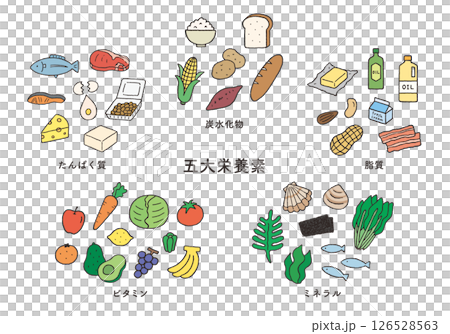 含有五大營養素的食物手繪插圖集 126528563