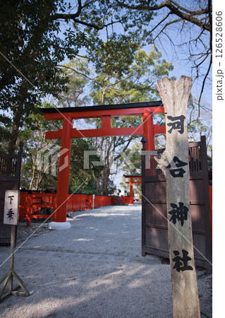 河合神社 東の鳥居2 河合神社 東の鳥居2 126528606