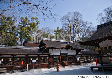 河合神社 束の間の静寂に包まれる境内3 河合神社 束の間の静寂に包まれる境内3 126528614