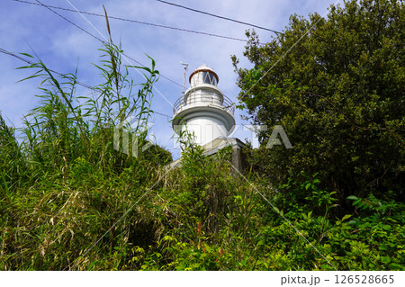 鶴御埼灯台(九州最東端・鶴御崎自然公園) 鶴御埼灯台(九州最東端・鶴御崎自然公園) 126528665