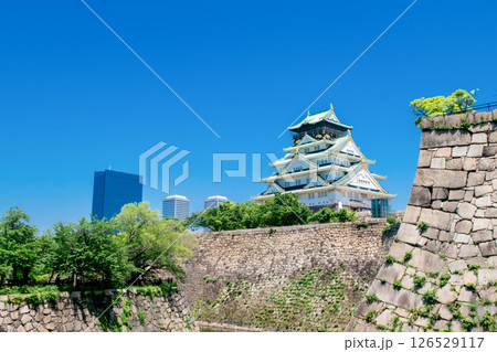 新緑の大阪城 126529117