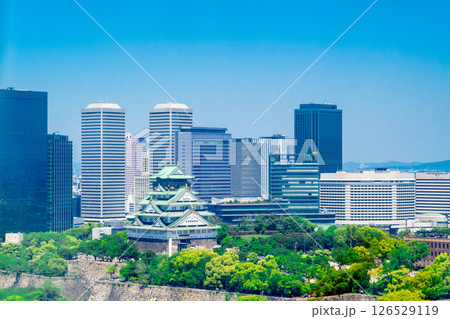 新緑の大阪城 126529119