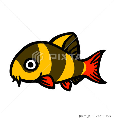 シンプルなクラウンローチのイラスト シンプルなクラウンローチのイラスト 126529595