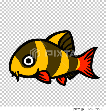 シンプルなクラウンローチのイラスト シンプルなクラウンローチのイラスト 126529595