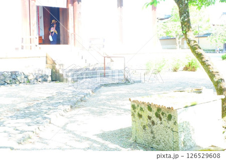 奈良の新薬師寺境内の風景 奈良の新薬師寺境内の風景 126529608