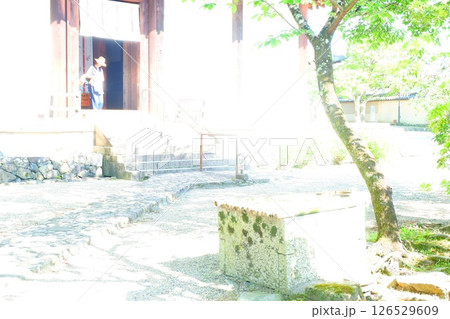 奈良の新薬師寺境内の風景 126529609