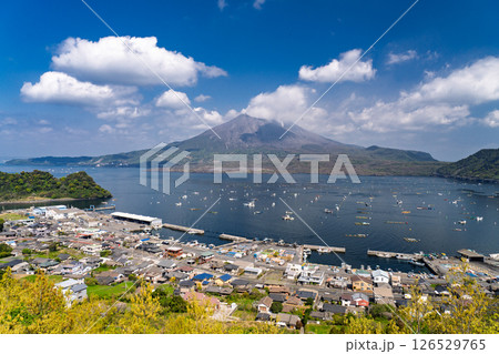 《鹿児島県》桜島の風景・にこ展望台の眺望 126529765
