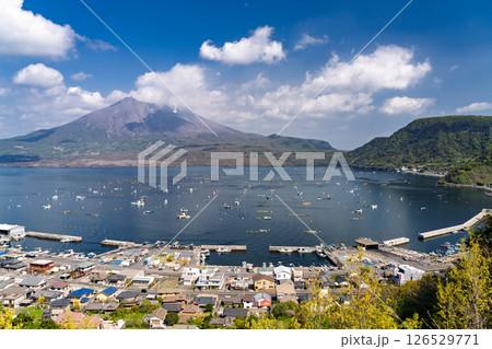 《鹿児島県》桜島の風景・にこ展望台の眺望 《鹿児島県》桜島の風景・にこ展望台の眺望 126529771