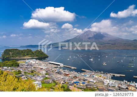 《鹿児島県》桜島の風景・にこ展望台の眺望 126529773