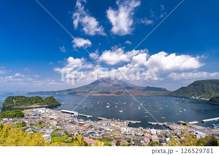 《鹿児島県》桜島の風景・にこ展望台の眺望 126529781