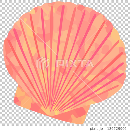 Seashell illustration Scallop Vector material Pink color 126529903
