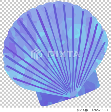 Seashell illustration Scallop Vector material Purple 126529904