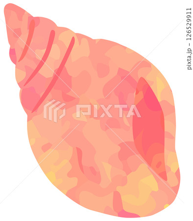 巻貝のイラスト 貝殻 ピンク色 ベクター素材 巻貝のイラスト 貝殻 ピンク色 ベクター素材 126529911