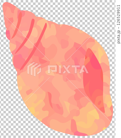 巻貝のイラスト 貝殻 ピンク色 ベクター素材 巻貝のイラスト 貝殻 ピンク色 ベクター素材 126529911