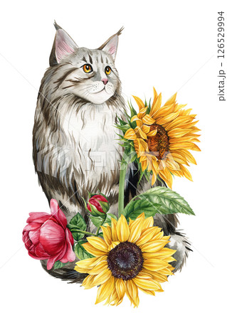 Watercolor Maine Coon Cat with Sunflowers and Pink Rose, Floral Botanical Cat Art, Cute Pet Illustration Isolated White Watercolor Maine Coon Cat with Sunflowers and Pink Rose, Floral Botanical Cat Art, Cute Pet Illustration Isolated White 126529994