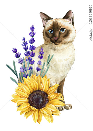 Cute Siamese Cat and Sunflower Bouquet with Lavender, Watercolor Floral Animal Art, Handpainted Botanical Clipart Cute Siamese Cat and Sunflower Bouquet with Lavender, Watercolor Floral Animal Art, Handpainted Botanical Clipart 126529999