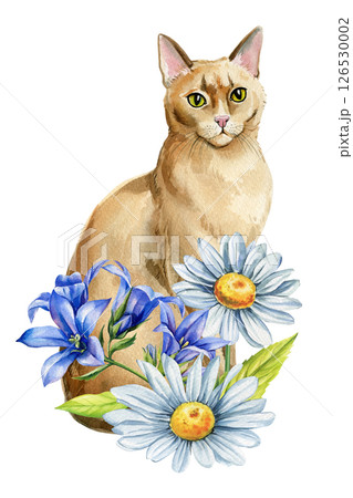 Watercolor cute Cat with Daisies, Bluebell Flowers Hand Painted Floral Animal Illustration Isolated on White Background 126530002