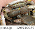 Freshly caught mantis shrimp and other seafood. 126530089