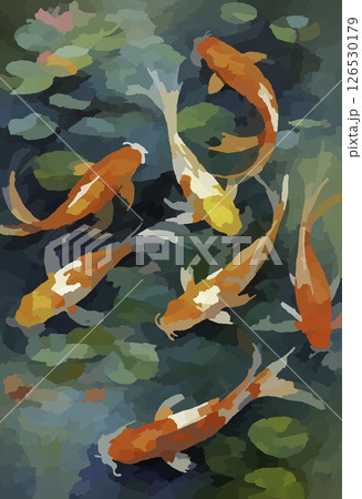 池で泳ぐ錦鯉 池で泳ぐ錦鯉 126530179