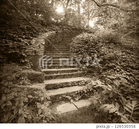 Old stone stairs in the park Old stone stairs in the park 126530358