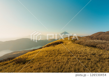 Mount Fuji View from Hakone Mototsumiya Shrine Trail 126530454