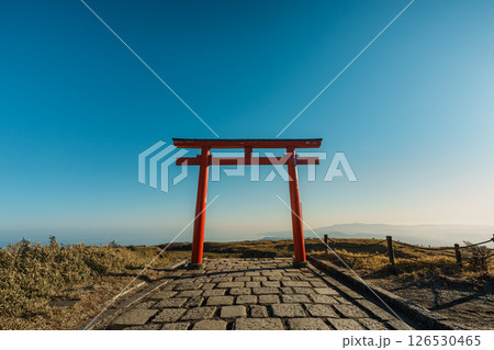 Hakone Mototsumiya Shrine Torii Gate and Path 126530465