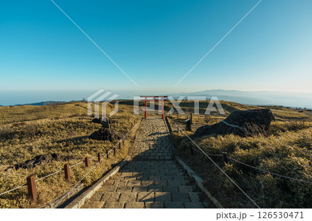 Hakone Mototsumiya Shrine Torii Gate and Path 126530471