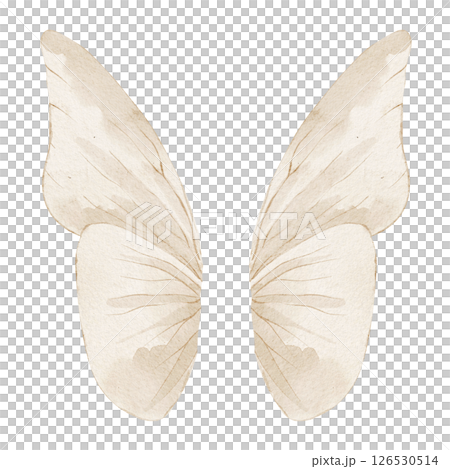 Watercolor illustration of a butterfly wings in neutral pastel beige colors. Drawing of moth for fantasy design, baby shower greeting cards or wedding invitations. Art for nursery decoration. Watercolor illustration of a butterfly wings in neutral pastel beige colors. Drawing of moth for fantasy design, baby shower greeting cards or wedding invitations. Art for nursery decoration. 126530514