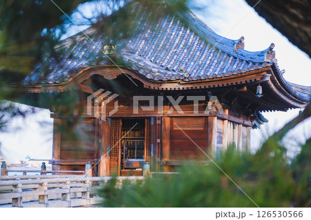 [満月寺浮御堂]琵琶湖に浮かぶ美しいお寺 126530566