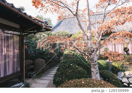 [おふさ観音]美しいお寺の境内の風景 126530999